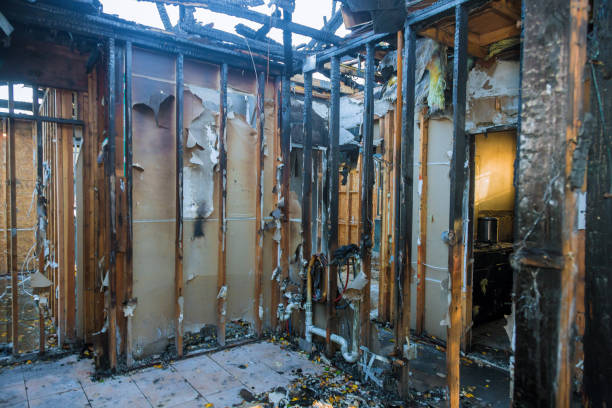 Professional Fire Damage Removal technician working in Willow, AK